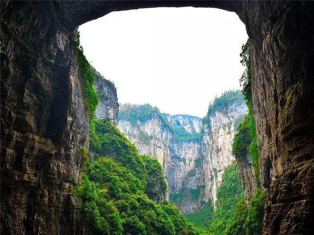 逃离白鸽之森